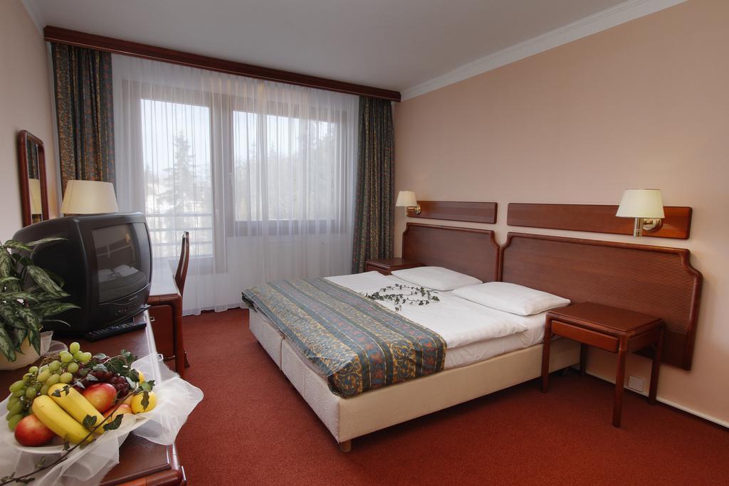 Hotel Krakonos マリアーンスケー・ラーズニェ 部屋 写真
